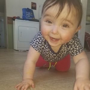 Meet your Posher, Julie